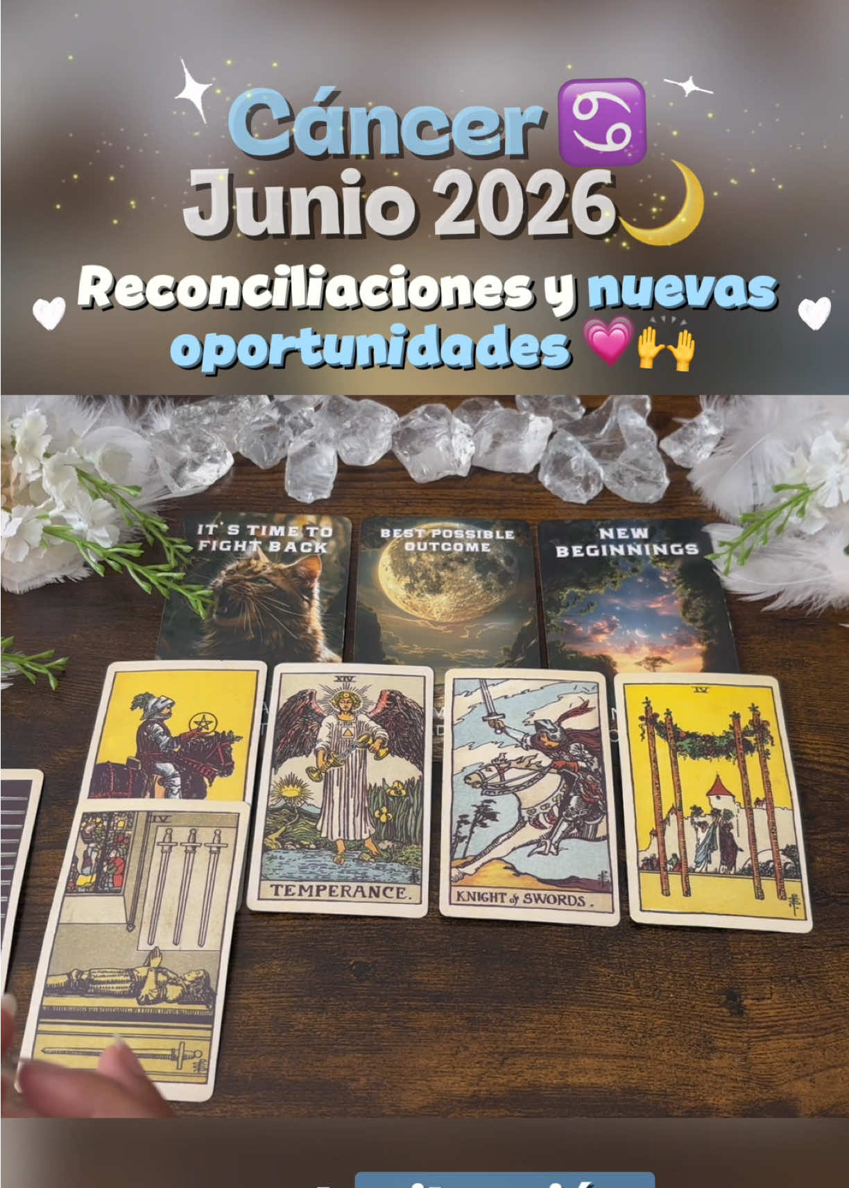@Andy Sun Tarot ☀️