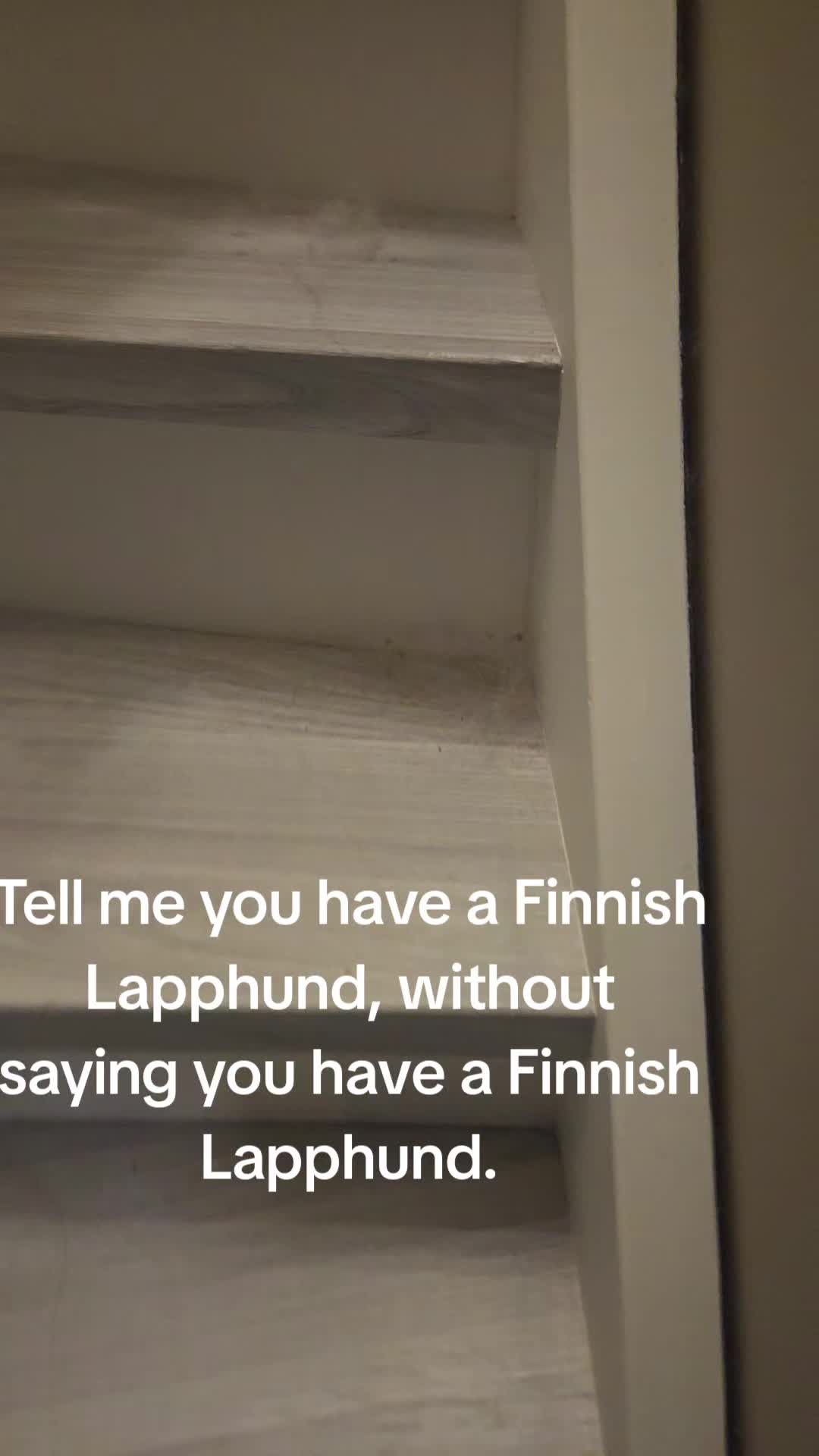 @Ingrid Knudsen