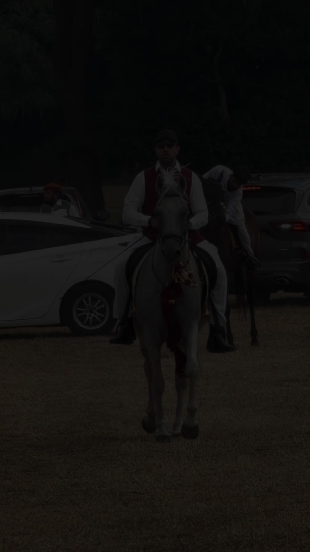 @Slough horses