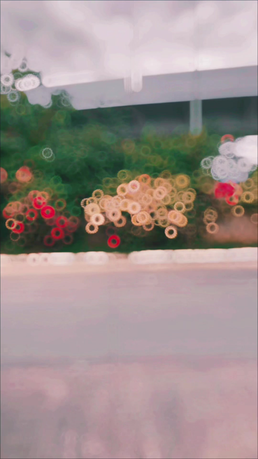 @𝙎𝙝𝙖𝙝𝙯𝙖𝙞𝙗_𝙈𝙪𝙜𝙝𝙖𝙡