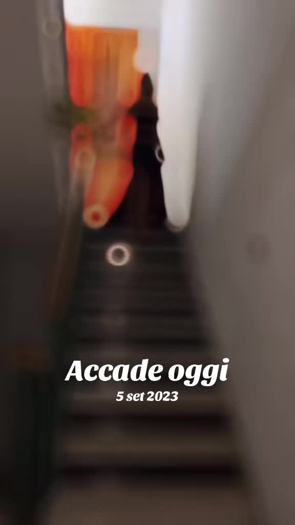 @Rosy Ippolito