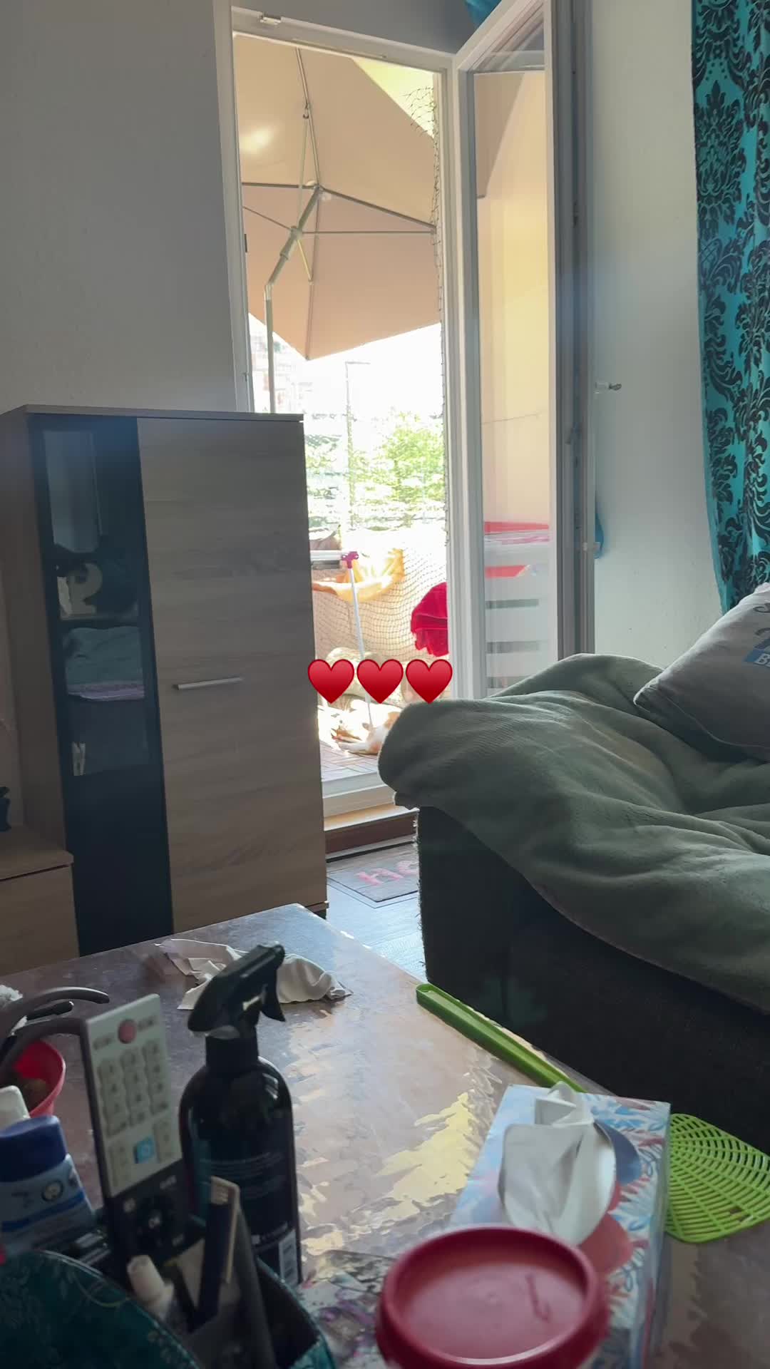 @Aileens_Katzen_Alltag