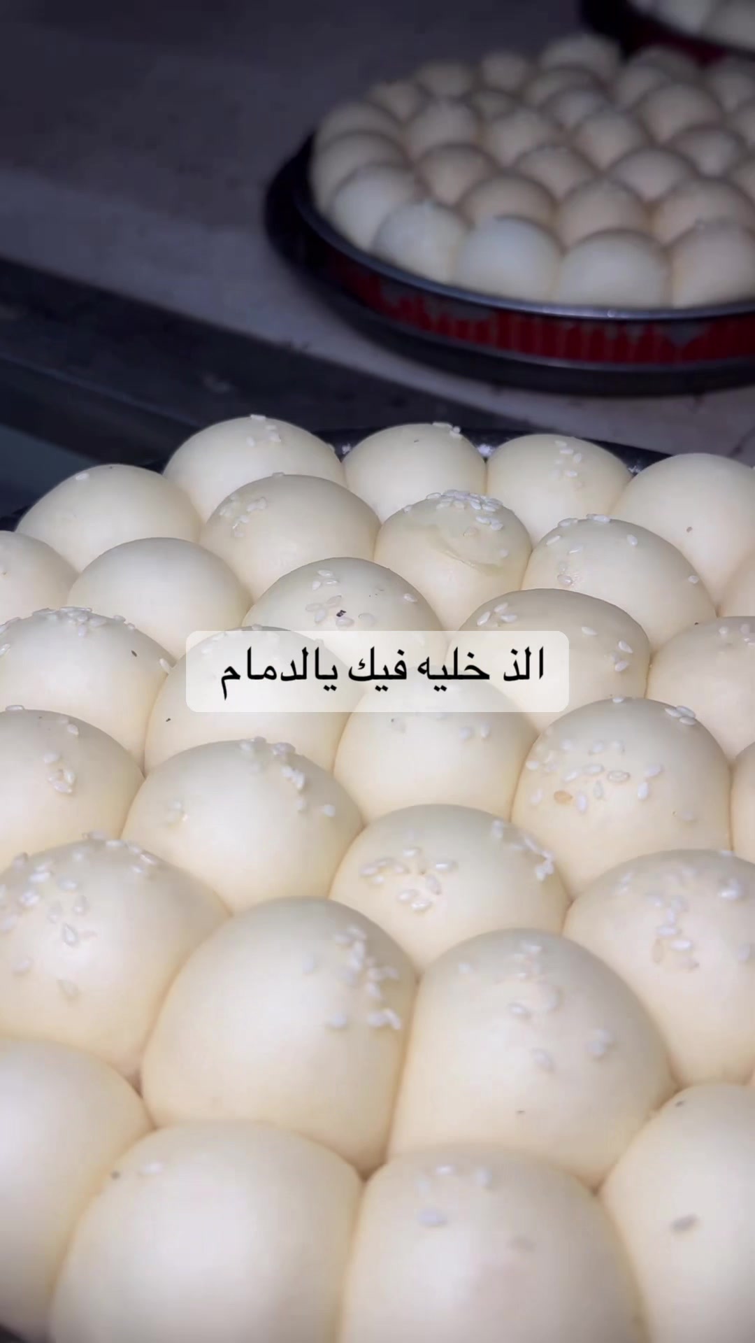 @بنت وايل 🌾🎠 مرخصه أعلامييا