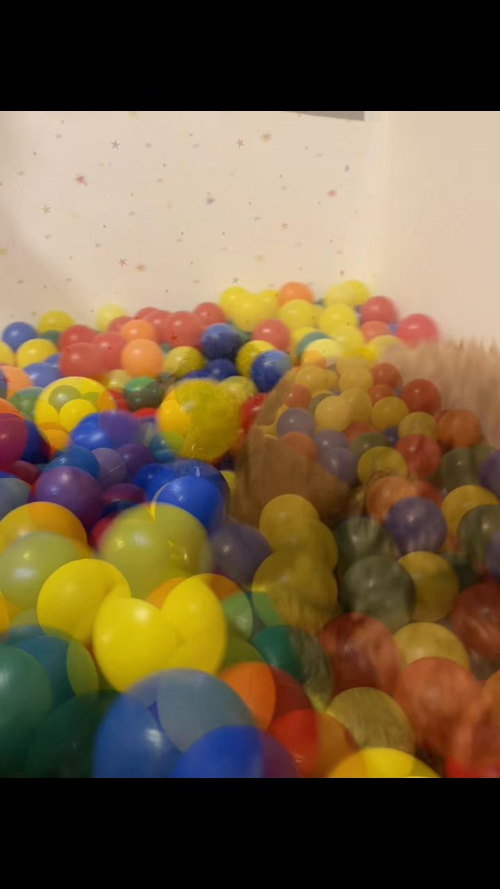 @Bellaviv