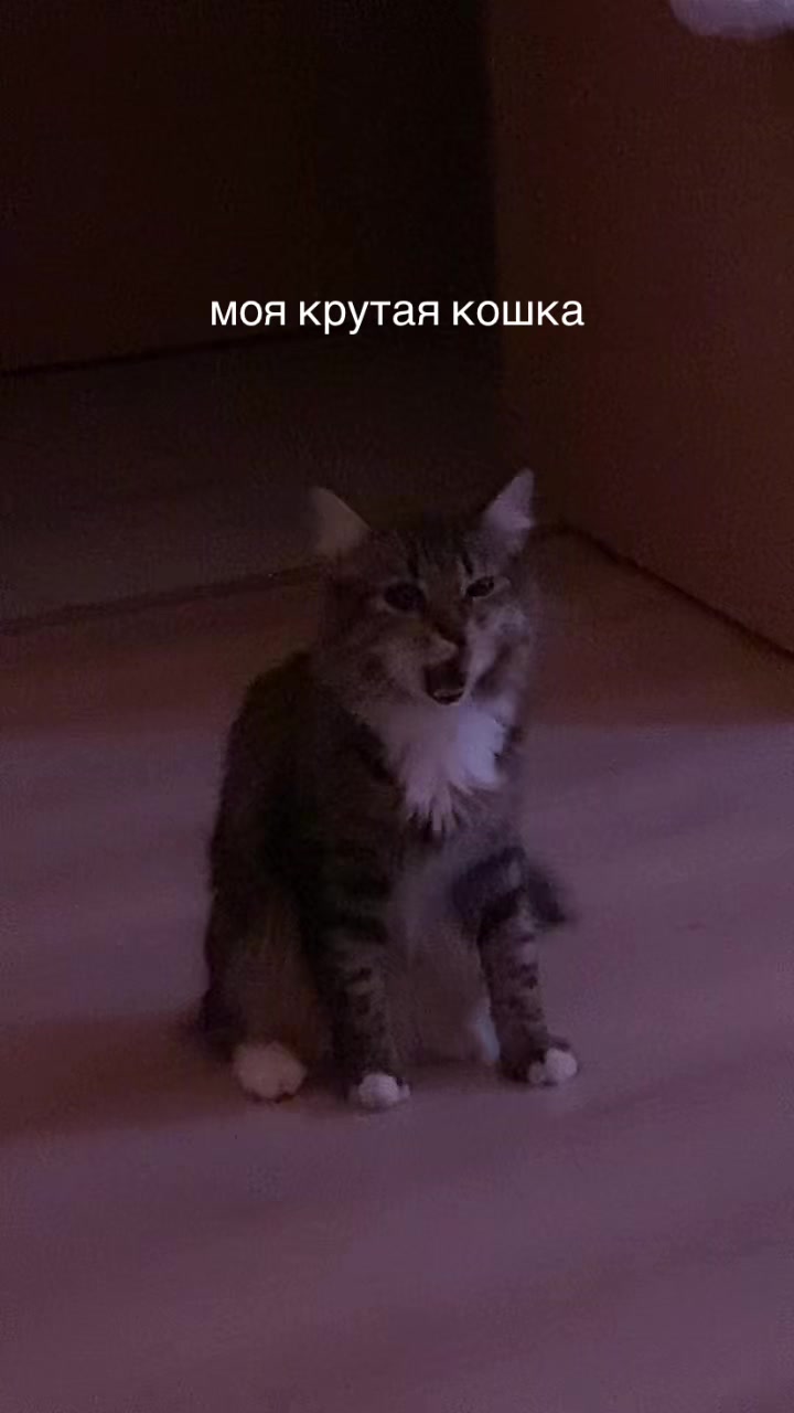 @ника милова