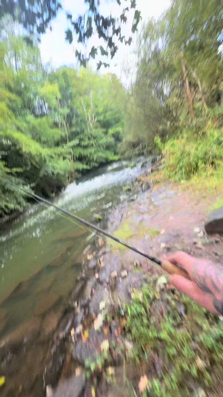 @Alba Trout 🏴