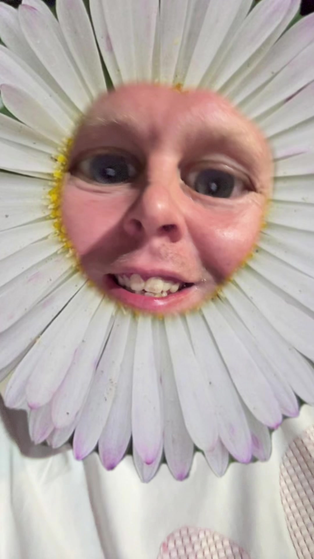 @Dan Grealy