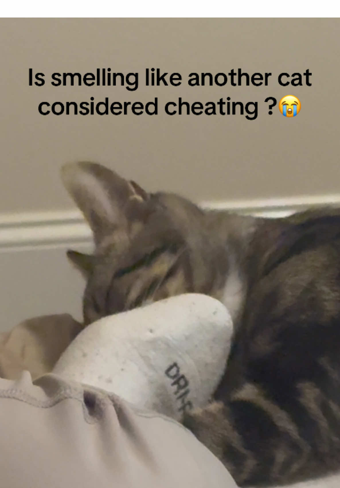 @Taka