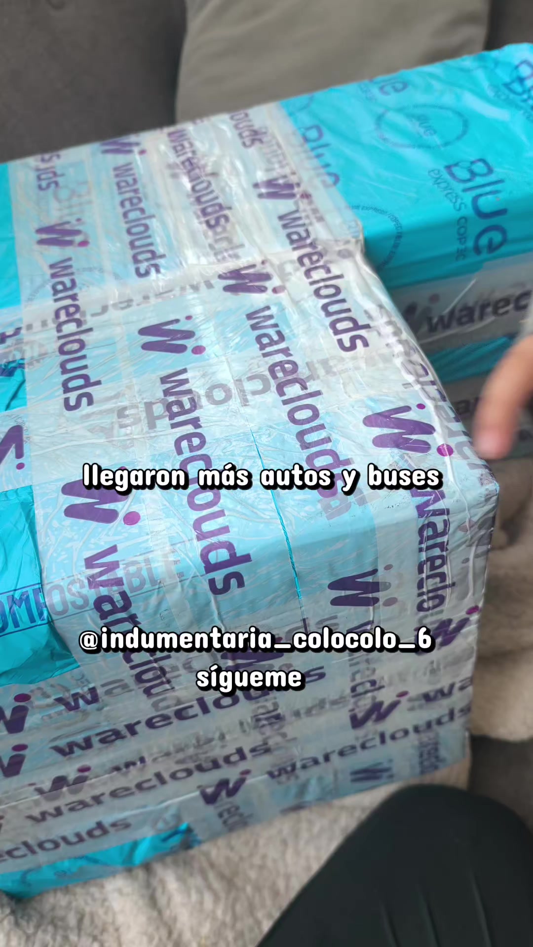 @indumentaria_colocolo_6