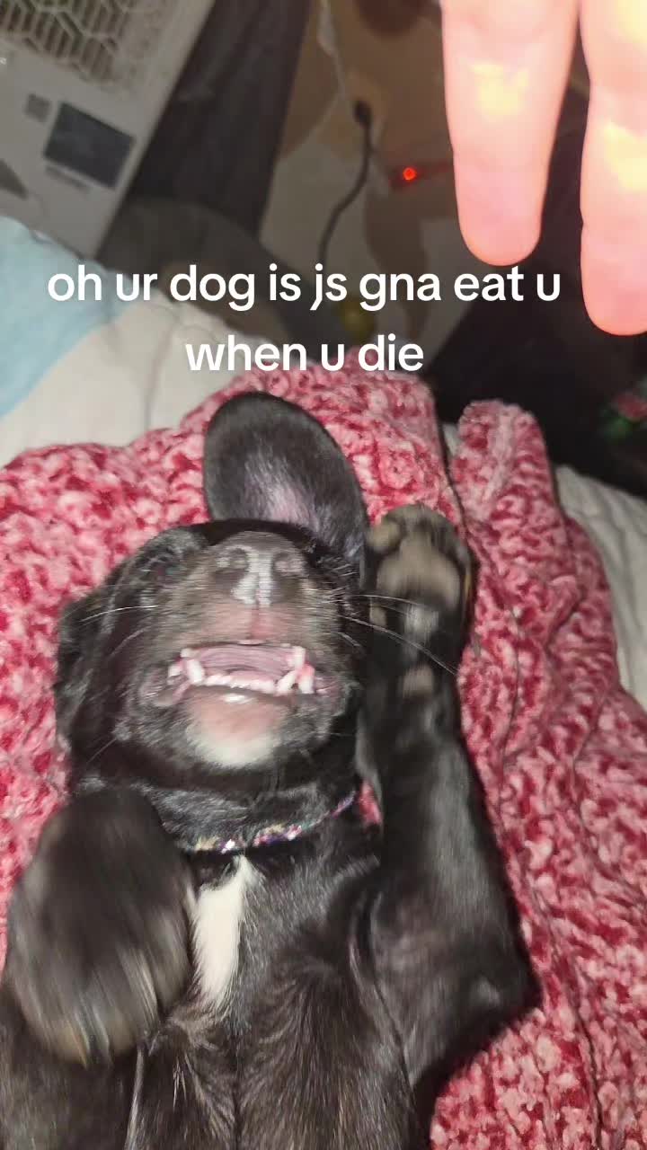 @Bugs✨️