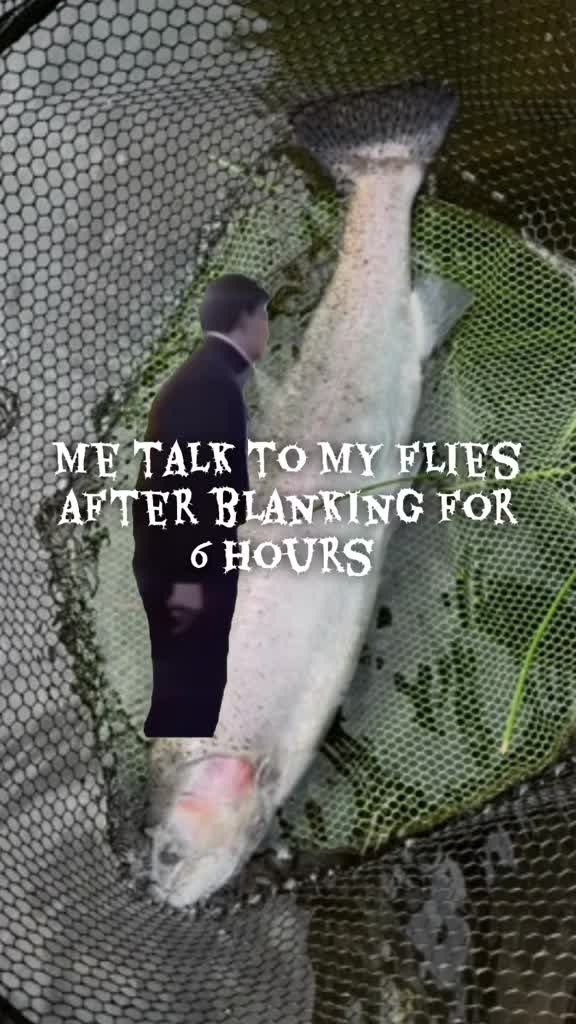 @dryflyguy15