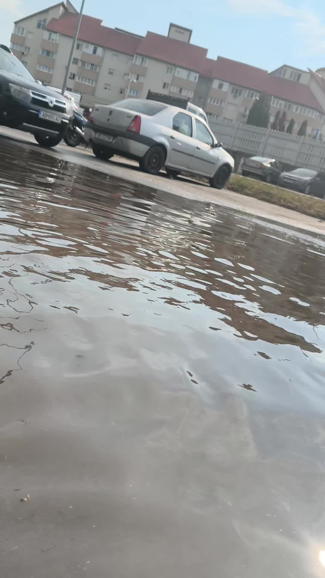 @Vasi Urcan