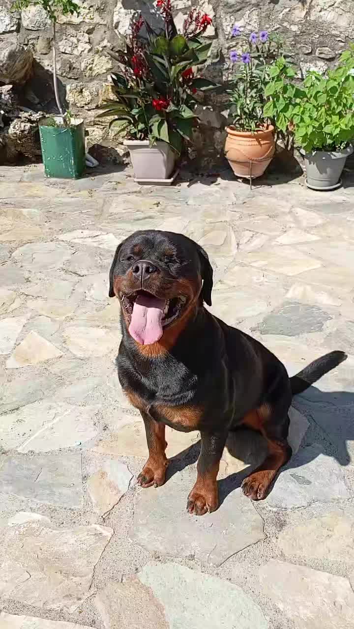 @Tasos Krikelis