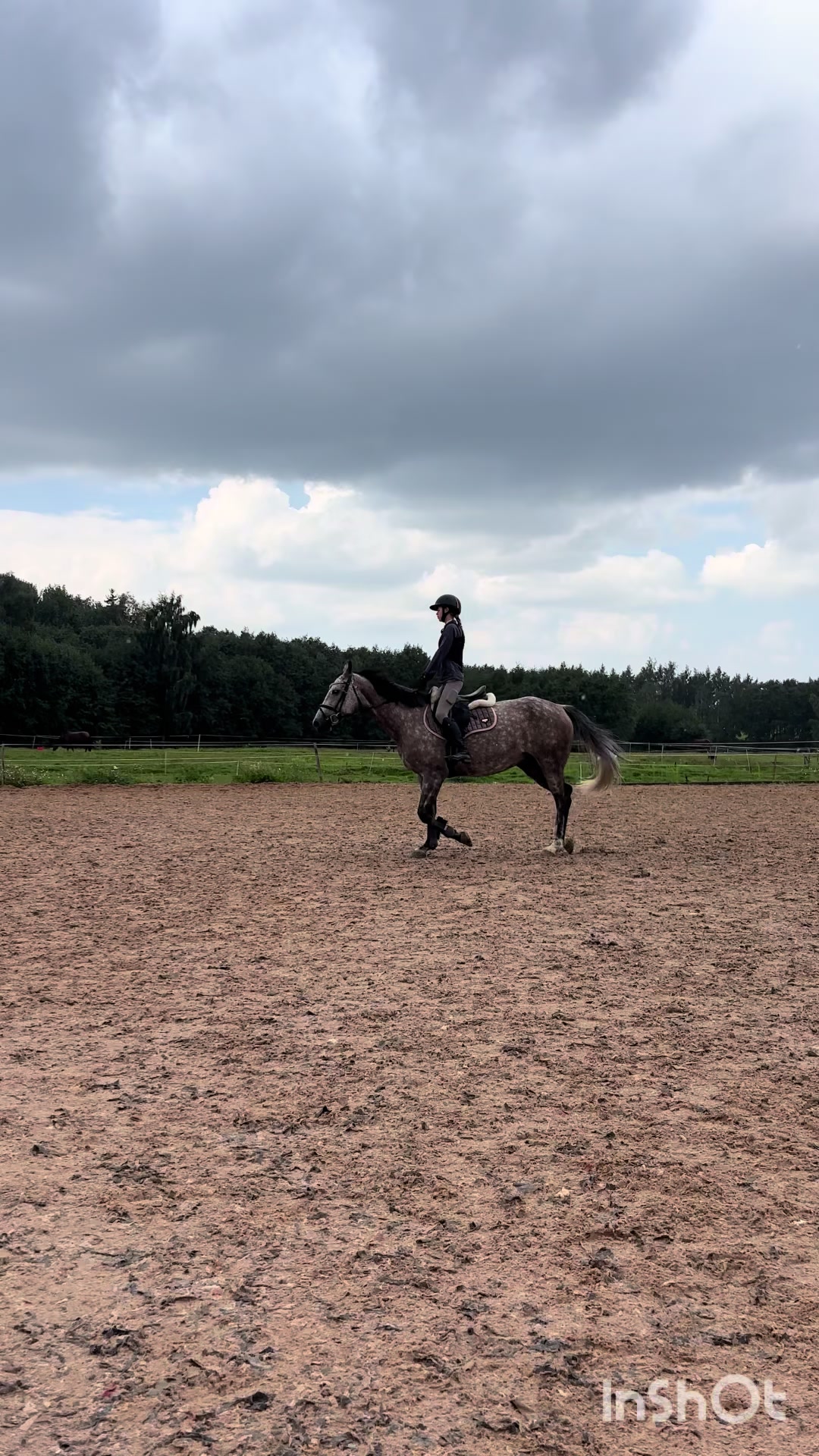 @🐴
