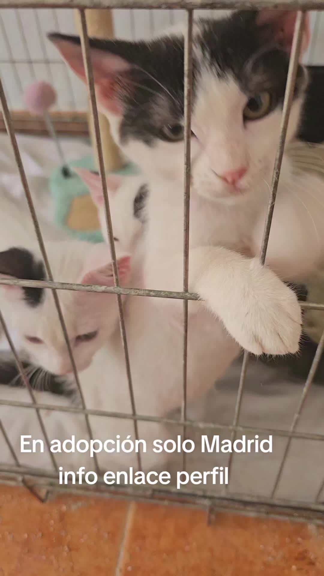 @Ronporsiempre