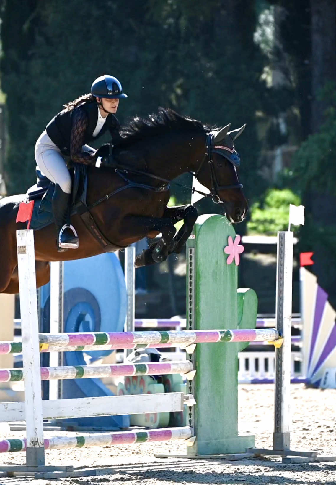 @Fabiana Tuccillo🇮🇹🐴🫀