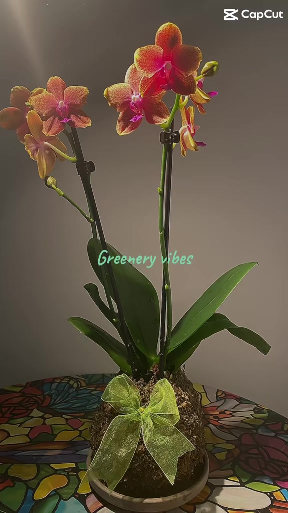 @Green Grace Designs