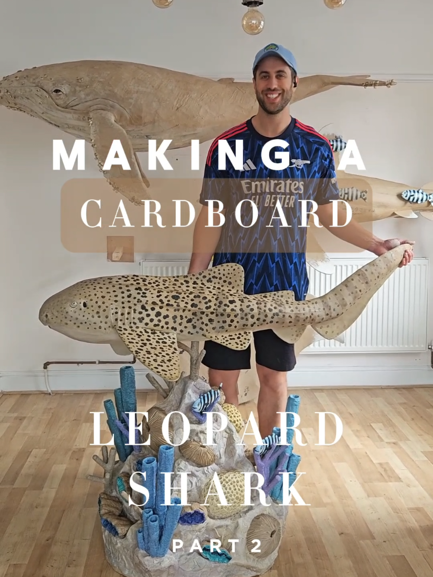 @Josh Gluckstein- Cardboard Art