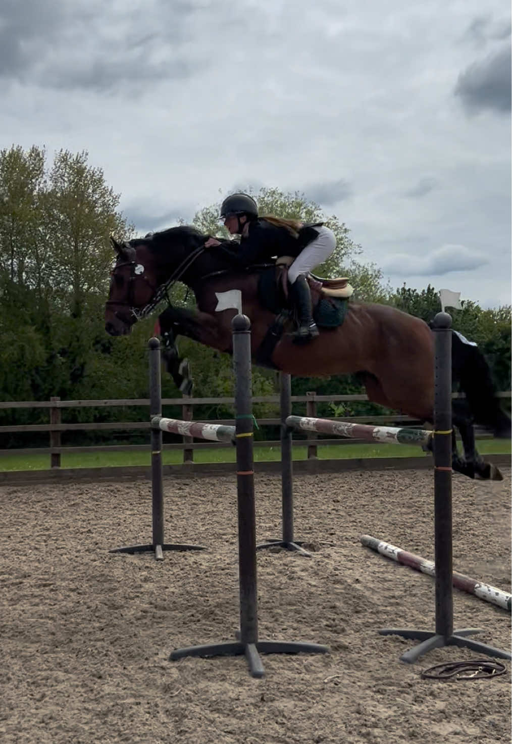 @Joss 🇬🇧🐴