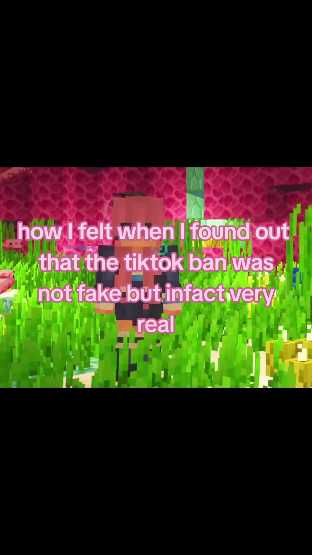 @makirollmuncher🦑🐇/🎨🛵