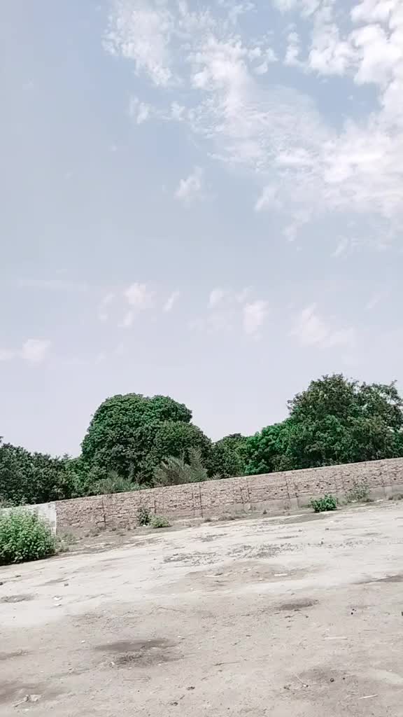 @Sana Malik110