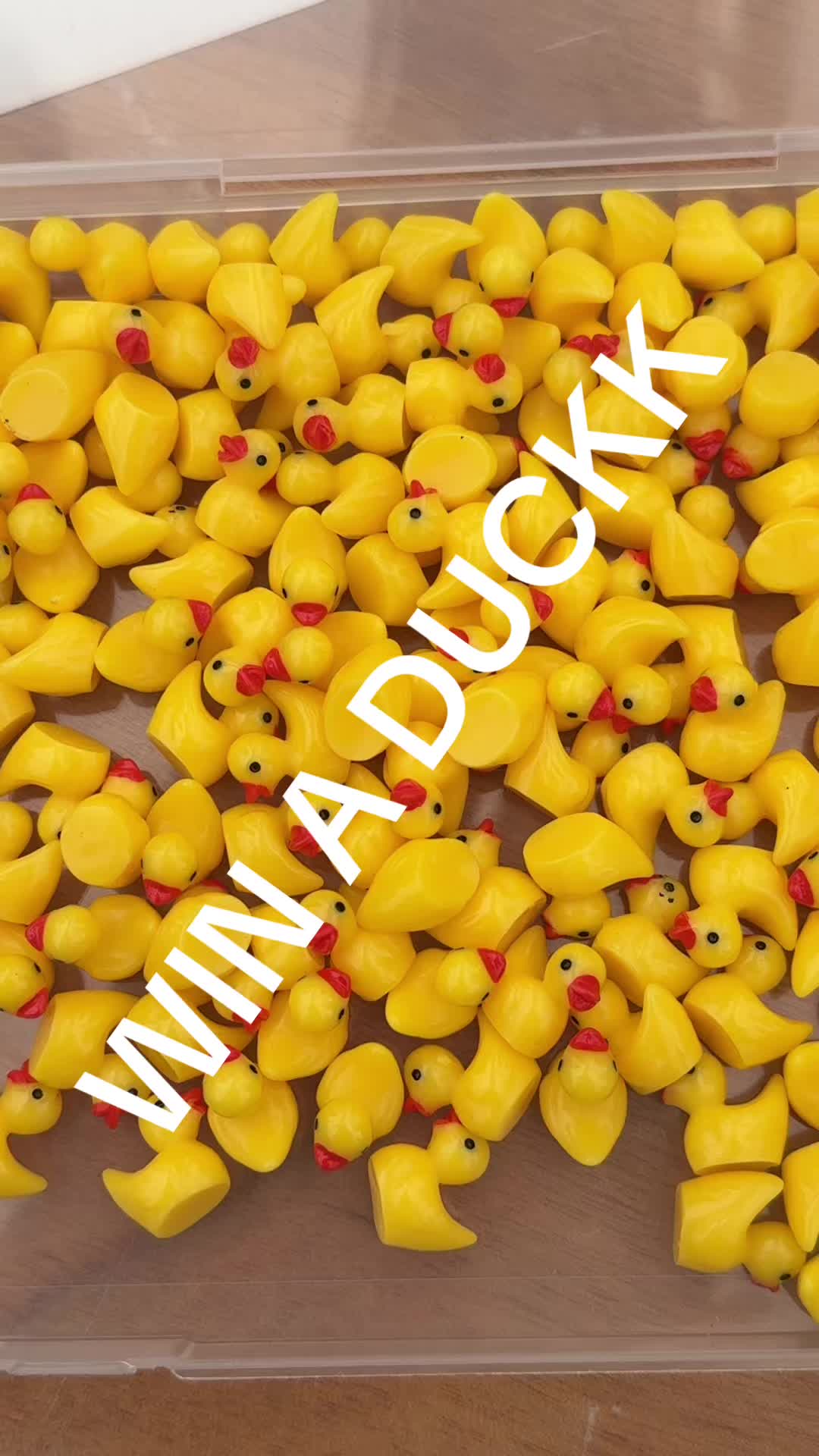 @RUineddigs