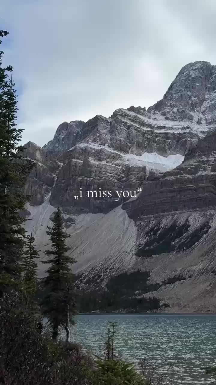 @AlphaMomentumX