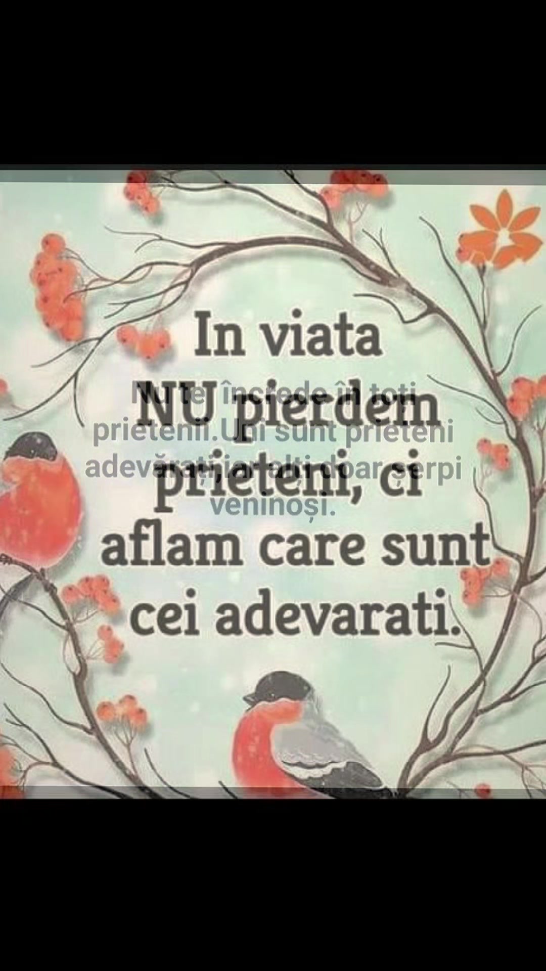 @✨️<ANNA>🌟M