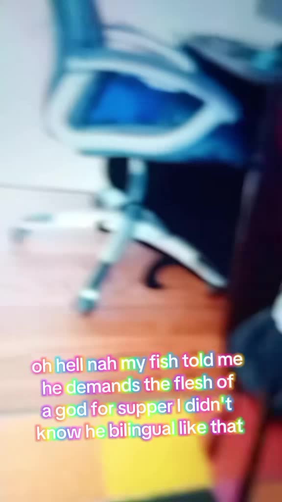 @Eva| ⌆
