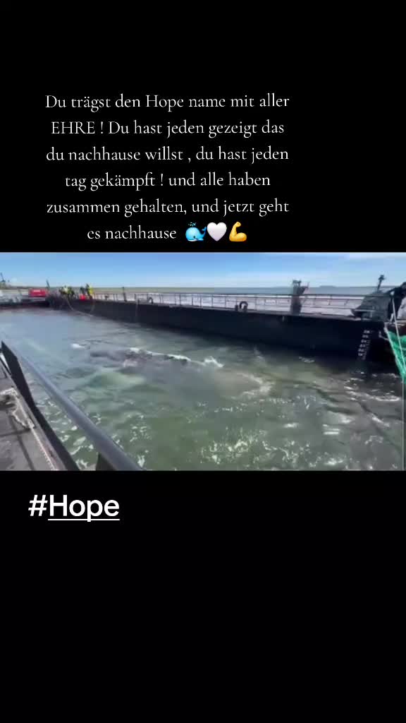 @🖤Anii🖤