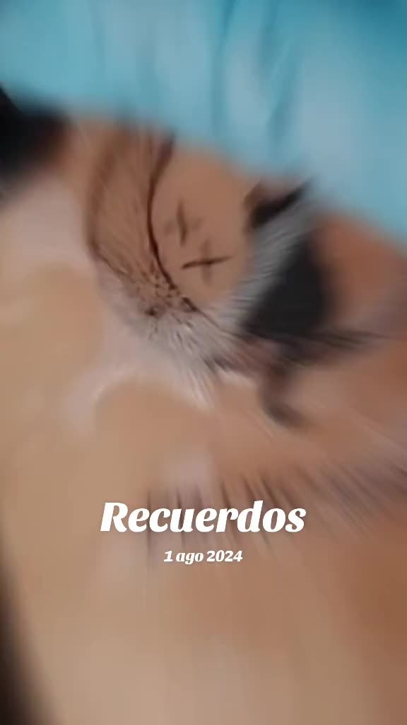 @Omar Ambriz