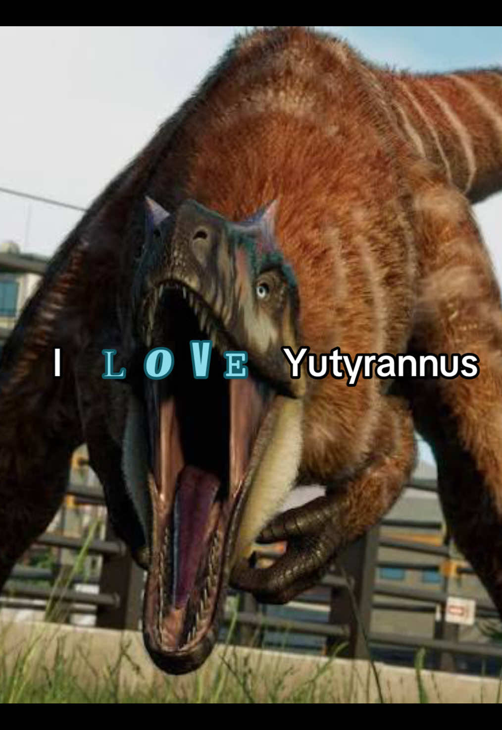 @Yuty!