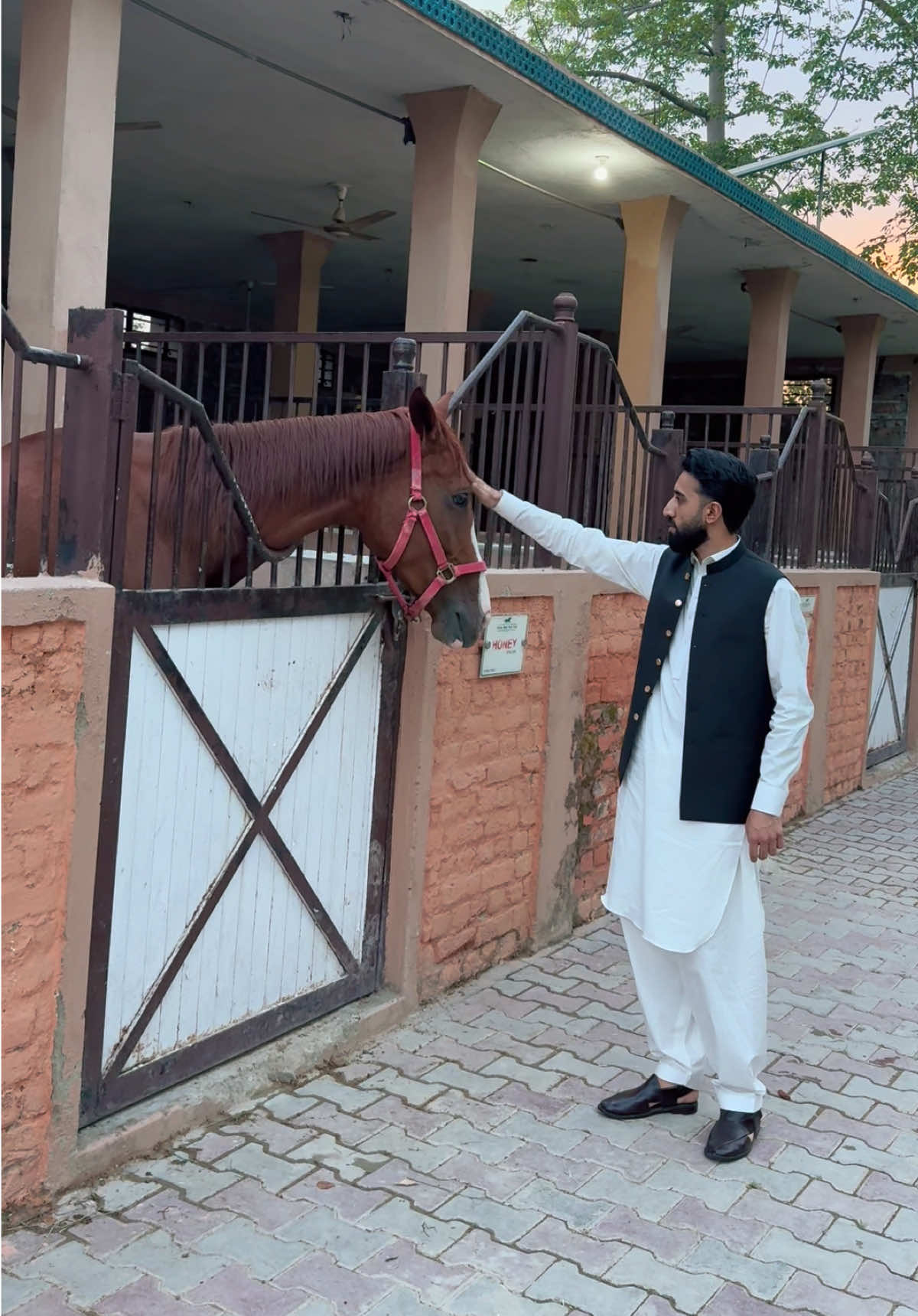 @Zarak Khan