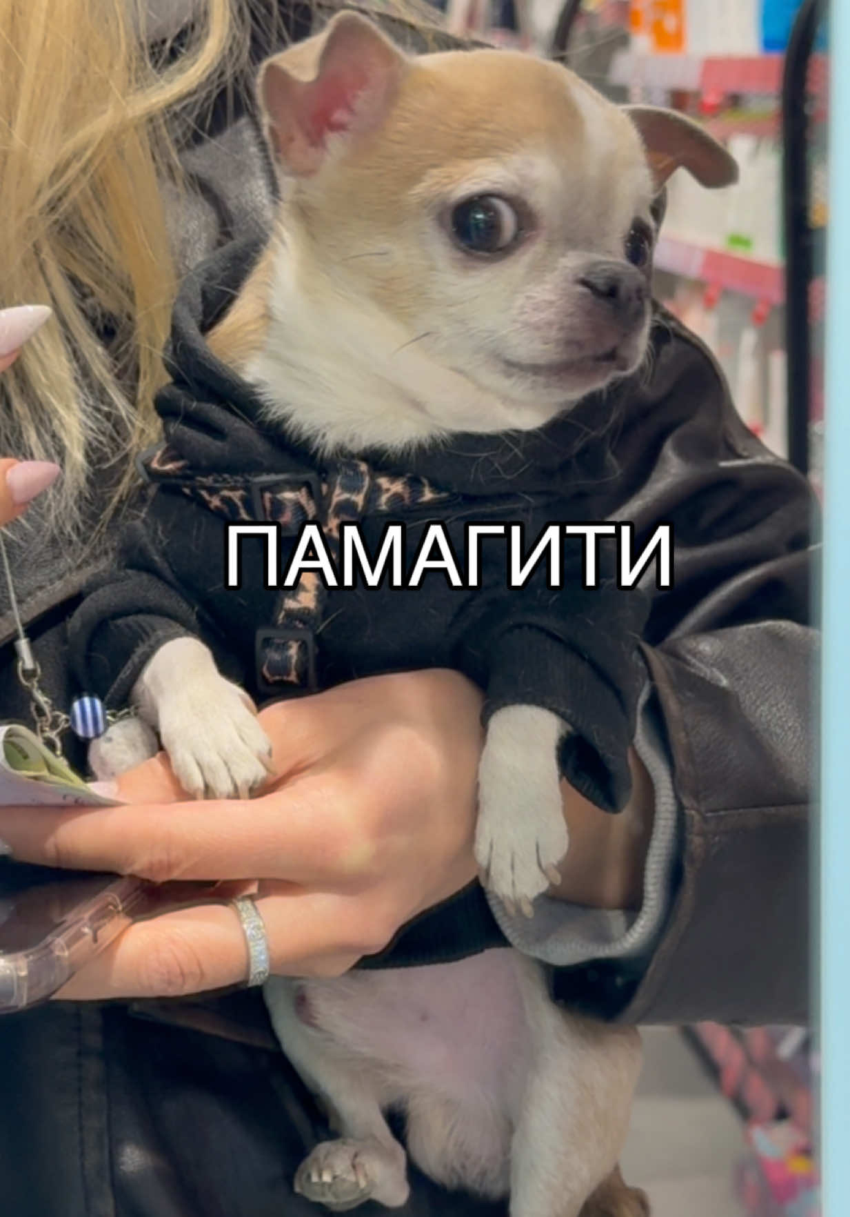 @Oskar.LOVERBOY