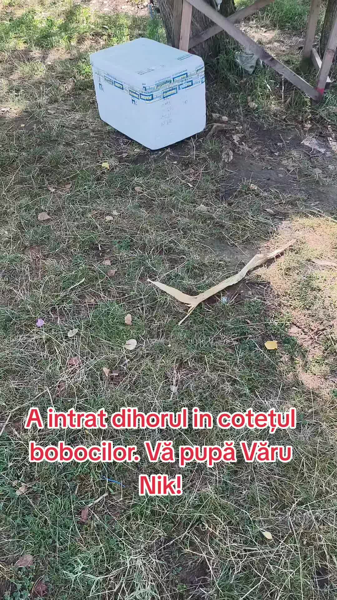@Văru Nik