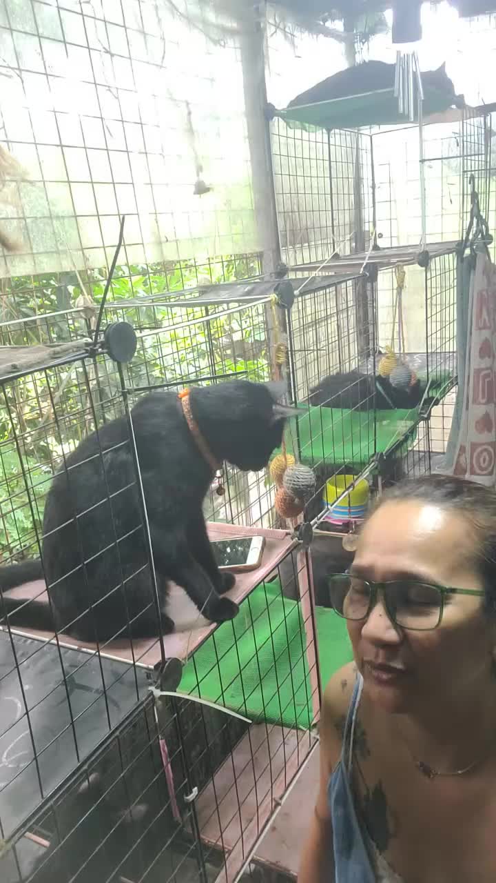 @CrazyCatMe