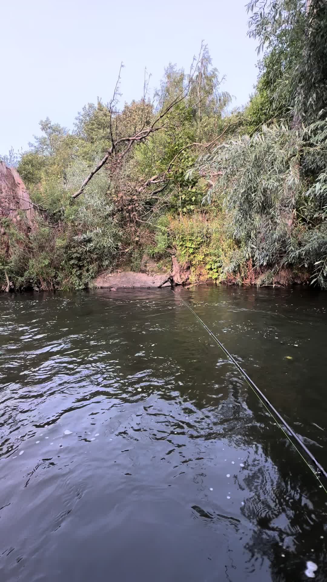 @Alba Trout 🏴