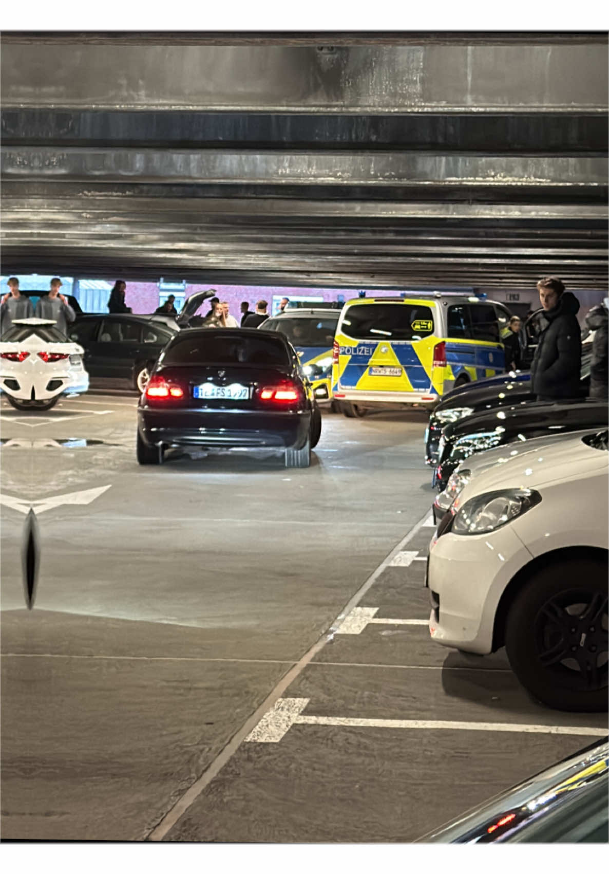 @🚨 Gelblicht Bärchen 🚨