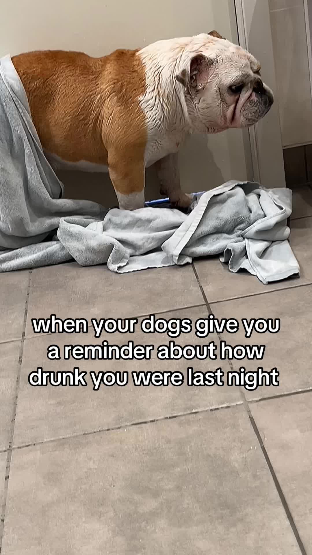 @bobandflodie