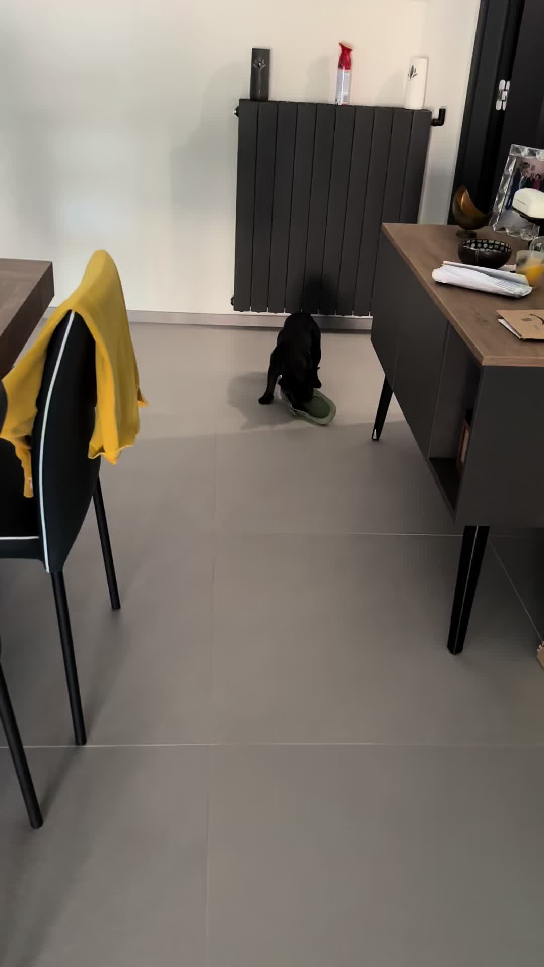 @Bullo_mal&ugrave;