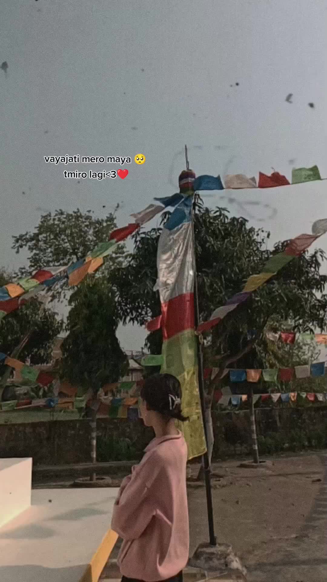 @ayusha lama
