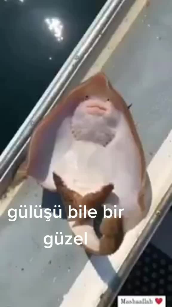 @Sensiz olmuyor