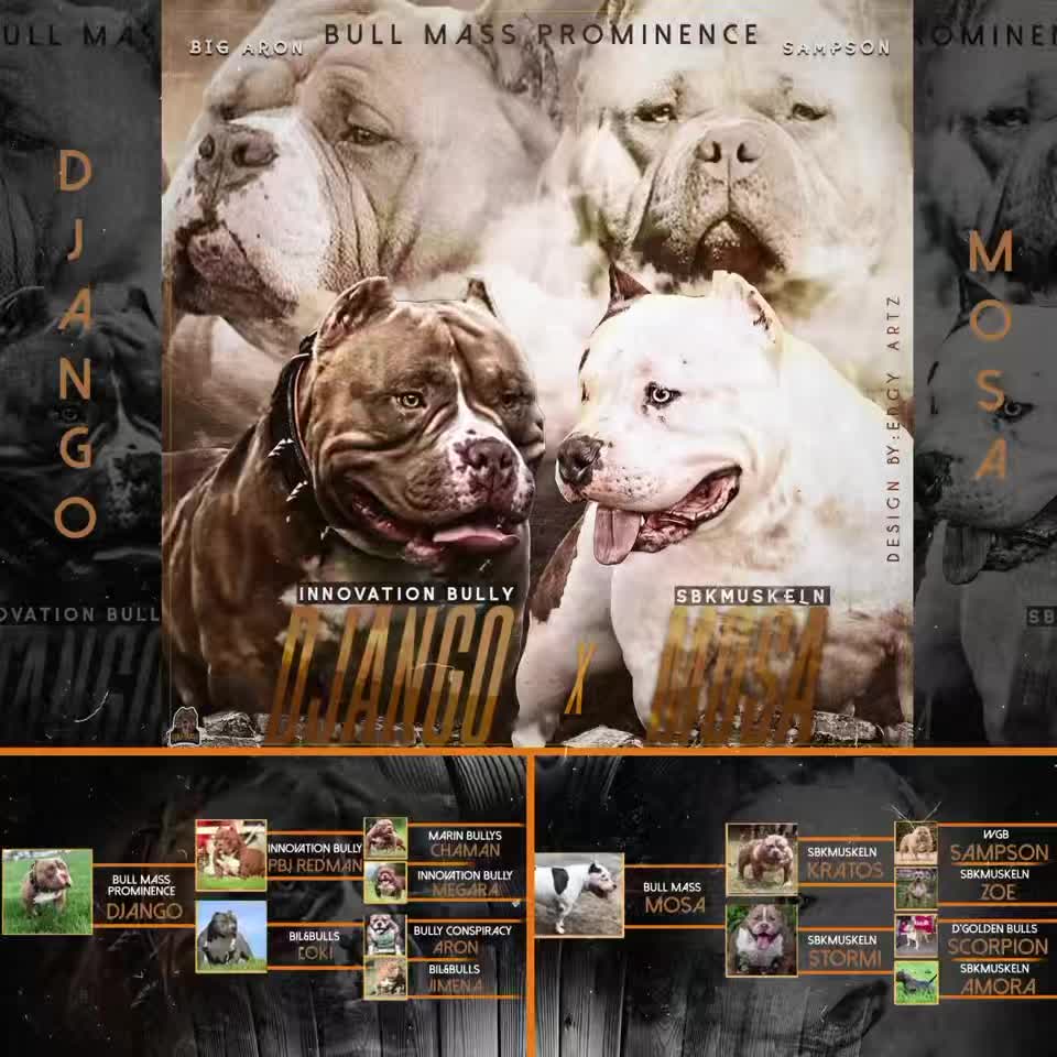 @BullMassProminence