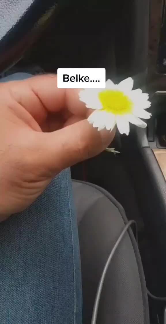 @๐๐๐๐ซ๐๐๐๐