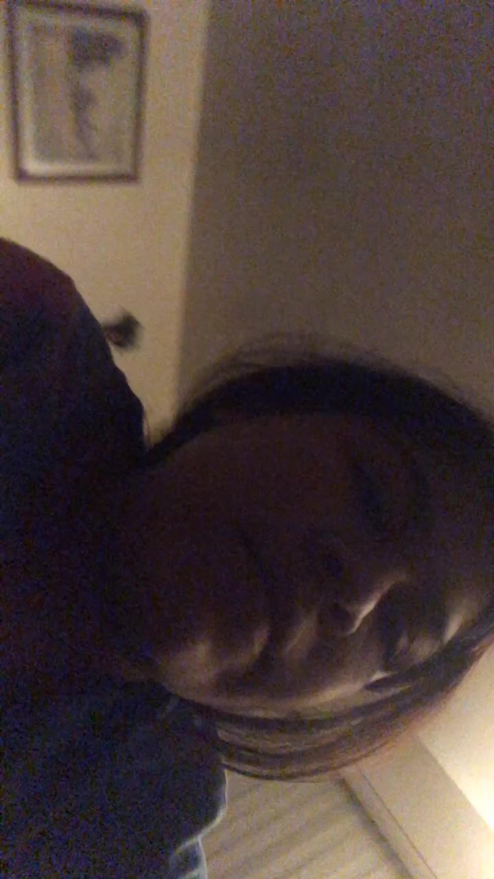 @Lunapuppy🐶