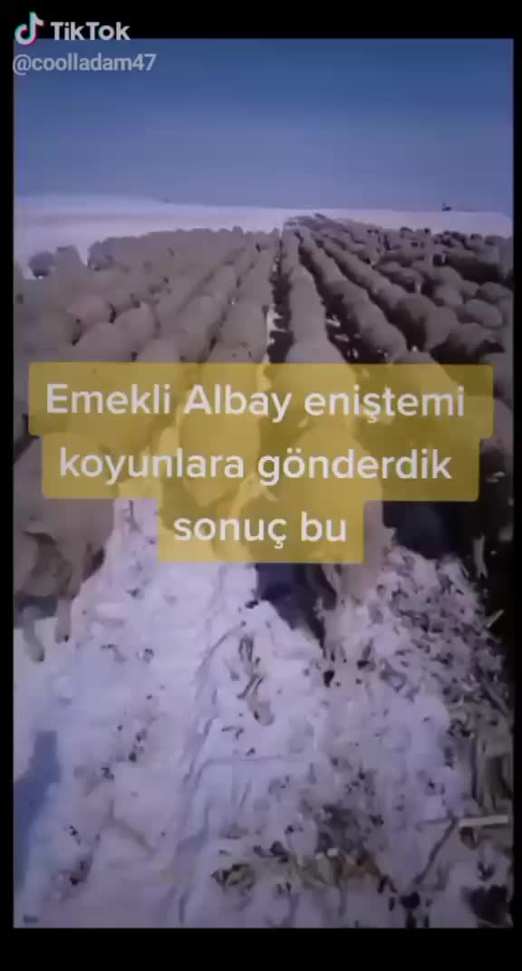 @user2389872976461