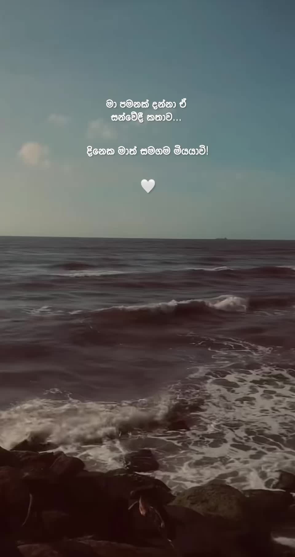 @вloѕѕoм 🤍