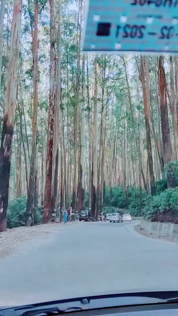@Ameer