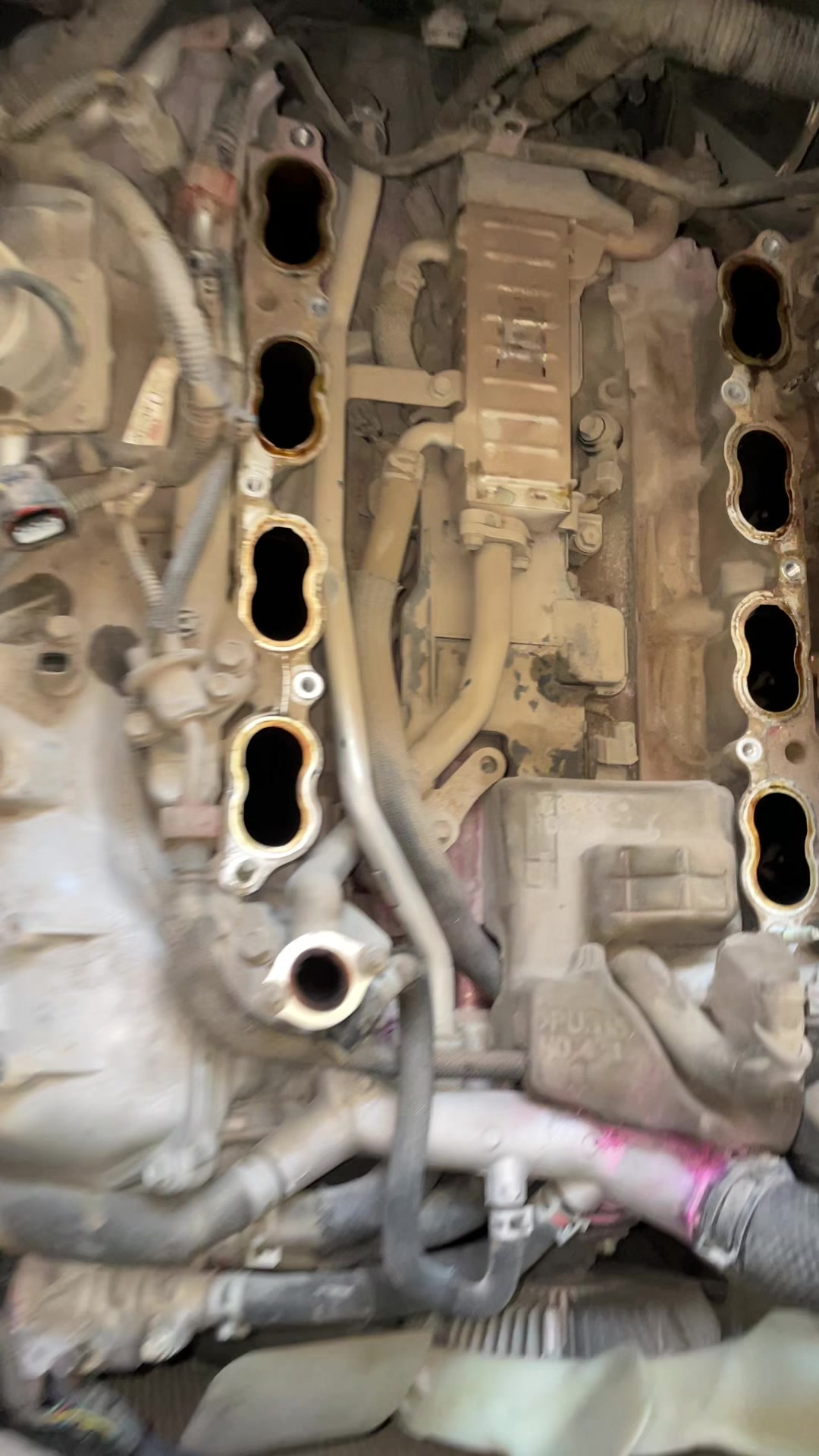 @MS Auto Mechanic