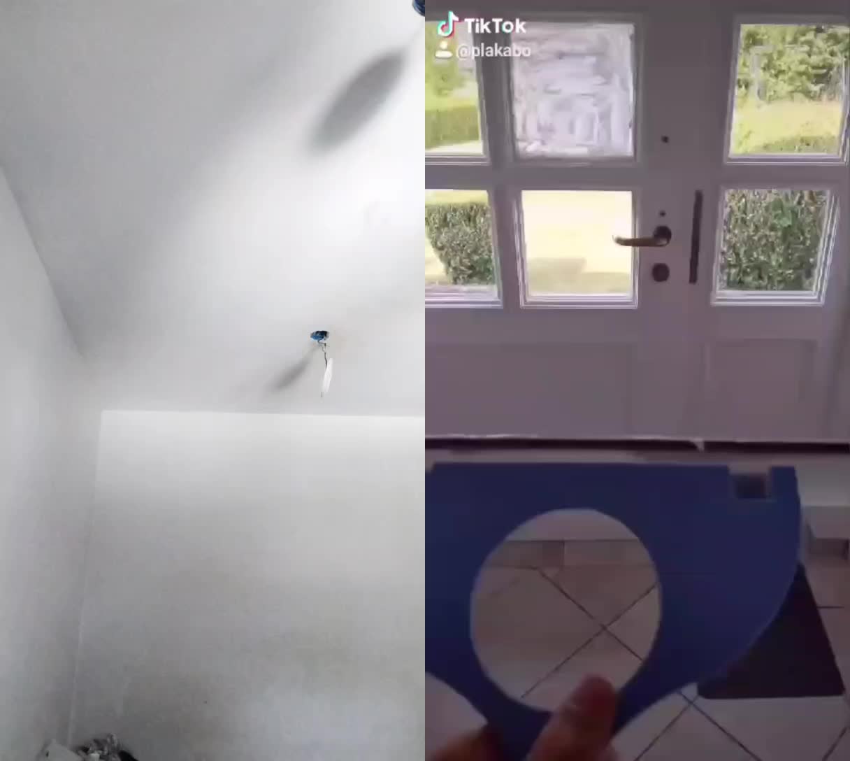 @Kermit The Frog Tiktok